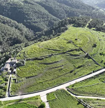 Foto annuncio 12