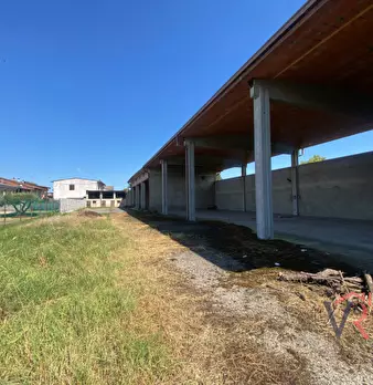 Foto annuncio 10