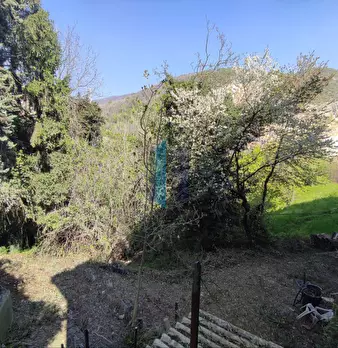 Foto annuncio 15