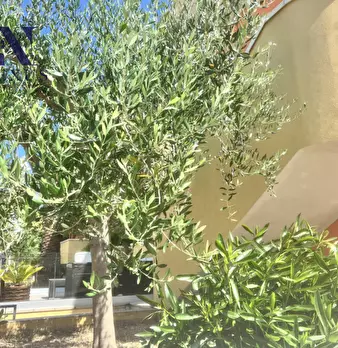 Foto annuncio 8