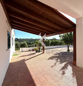 Foto annuncio 11