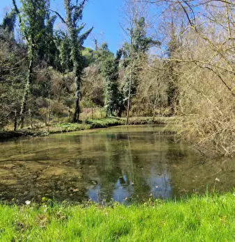 Foto annuncio 2