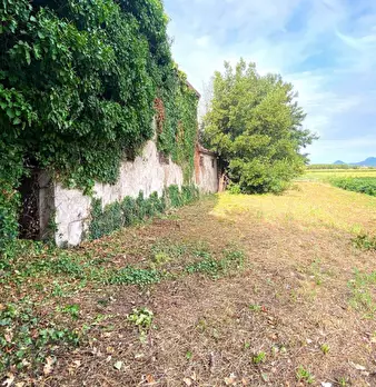 Foto annuncio 18
