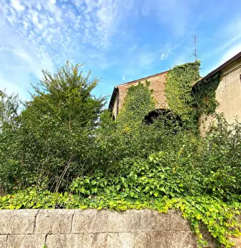 Foto annuncio 21
