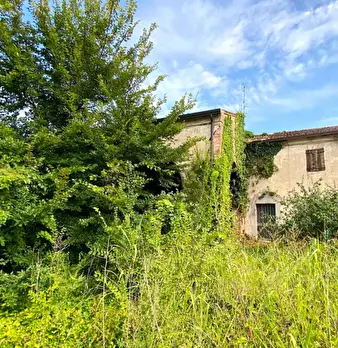 Foto annuncio 22