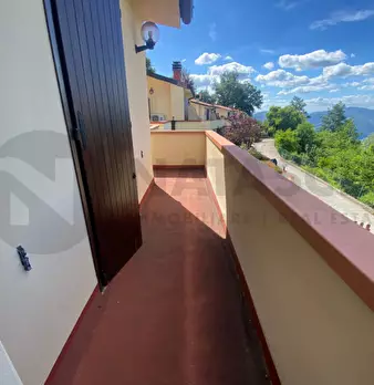 Foto annuncio 25