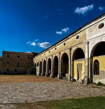 Foto annuncio 5