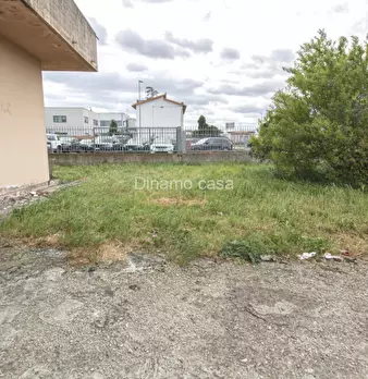 Foto annuncio 10
