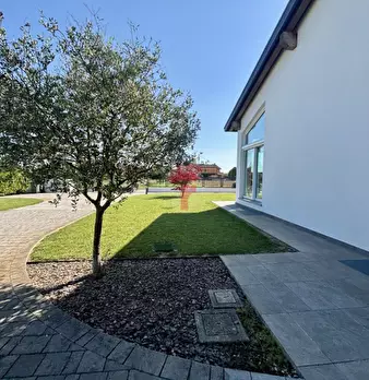 Foto annuncio 45