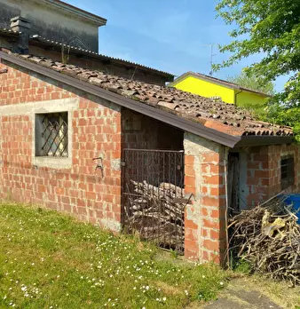 Foto annuncio 31