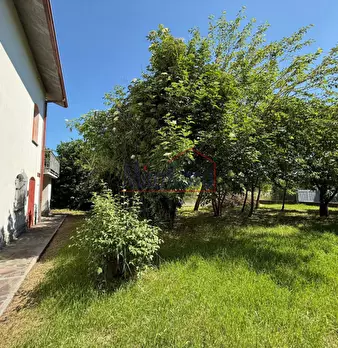 Foto annuncio 67