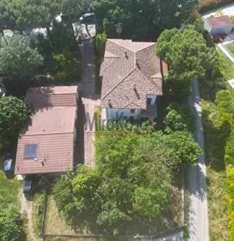 Foto annuncio 71