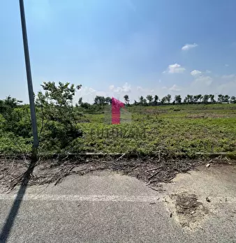 Foto annuncio 26