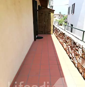 Foto annuncio 25