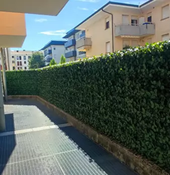 Foto annuncio 43