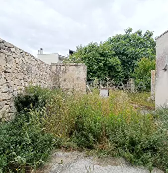 Foto annuncio 14