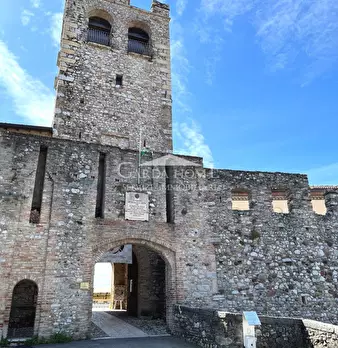 Foto annuncio 6