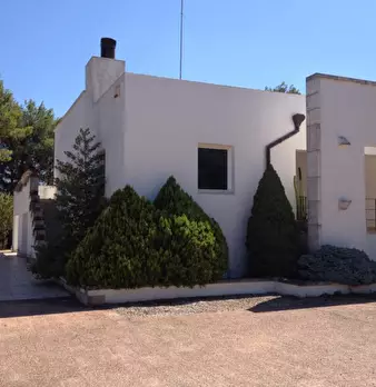 Foto annuncio 7