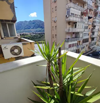 Foto annuncio 36