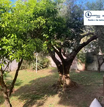 Foto annuncio 34