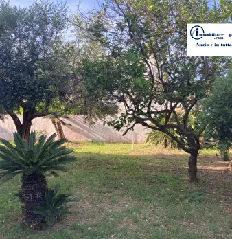 Foto annuncio 35