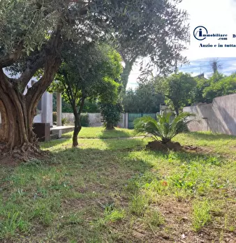 Foto annuncio 36