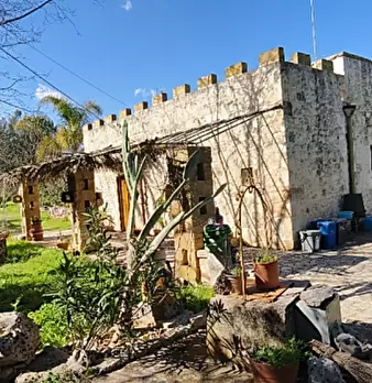 Foto annuncio 7