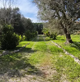 Foto annuncio 28