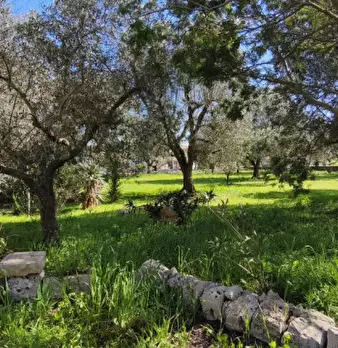 Foto annuncio 29