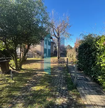 Foto annuncio 9
