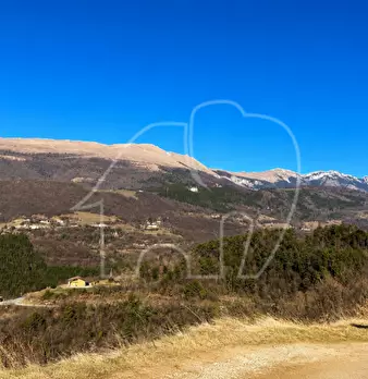Foto annuncio 4