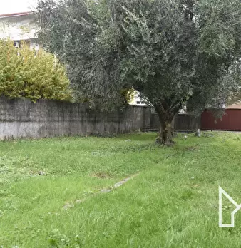 Foto annuncio 12