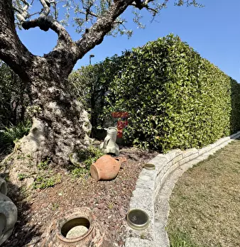 Foto annuncio 29
