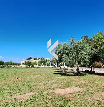 Foto annuncio 18