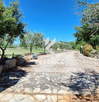 Foto annuncio 20