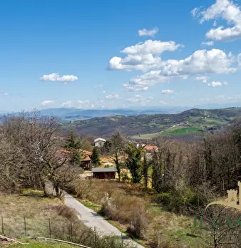 Foto annuncio 37