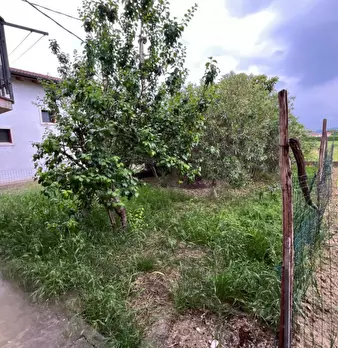 Foto annuncio 17