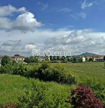 Foto annuncio 16