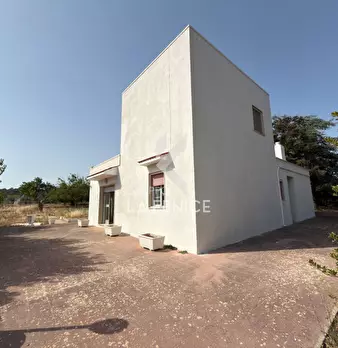 Foto annuncio 7