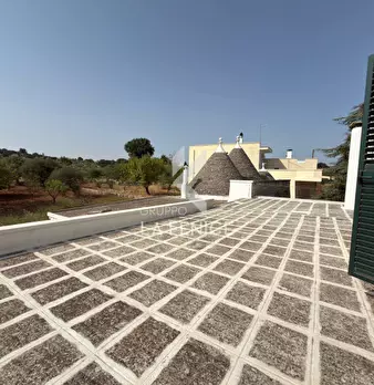 Foto annuncio 49