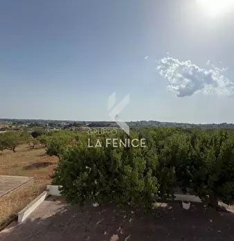 Foto annuncio 53