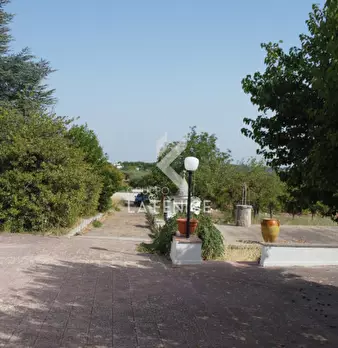 Foto annuncio 54