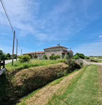 Foto annuncio 44