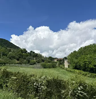 Foto annuncio 6