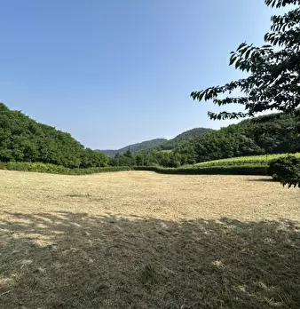Foto annuncio 32