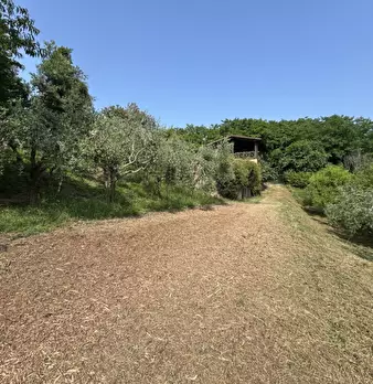 Foto annuncio 33