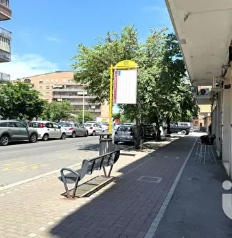 Foto annuncio 10