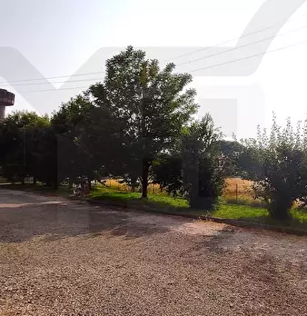 Foto annuncio 14