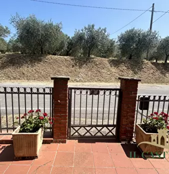Foto annuncio 3