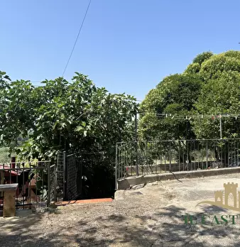 Foto annuncio 12